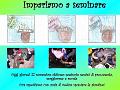 Diapositiva15
