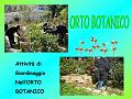 Diapositiva23