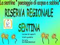 Diapositiva26