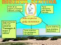 Diapositiva27