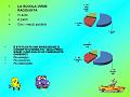 Diapositiva44