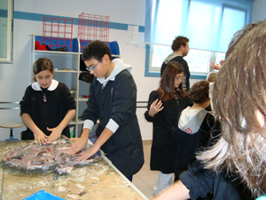 gruppo bambini