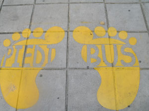 piedi